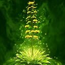 AgaveBloom icon