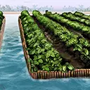Chinampas icon