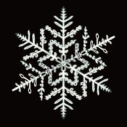 Frost icon