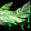 HerbalMedicine icon