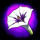 ToloacheTrance icon